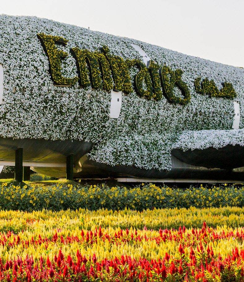 Dubai Miracle Garden The Best Place