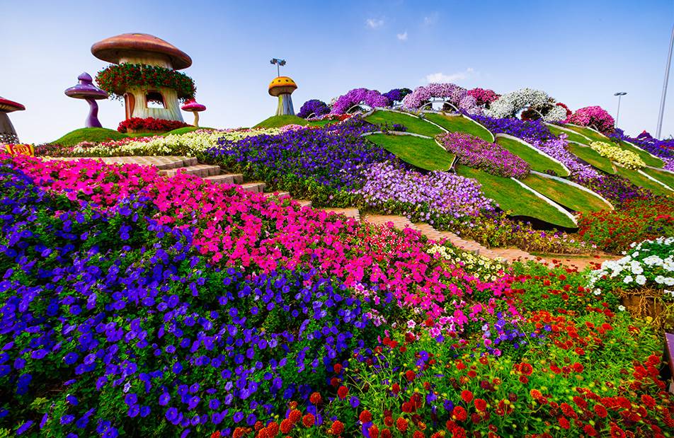 Dubai Miracle Garden | The Best Place to Visit in Dubai, UAE
